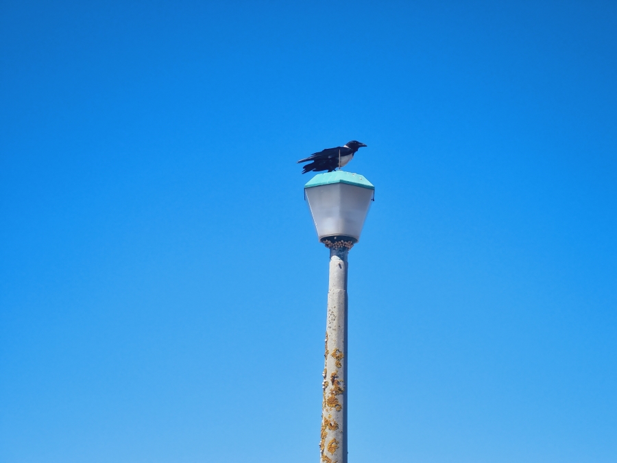 0 Bedroom Property for Sale in Hoogland Western Cape